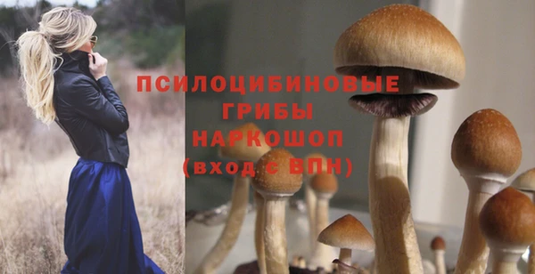 сатива Алексин