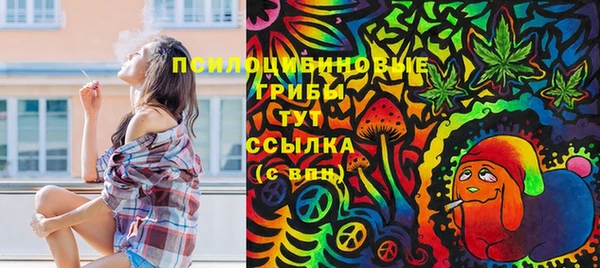 сатива Алексин