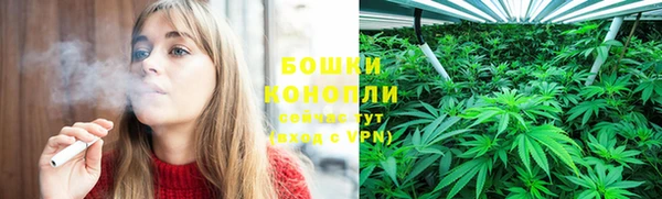 трава Абаза