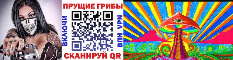 цены наркотик  Кызыл  Галлюциногенные грибы прущие грибы 